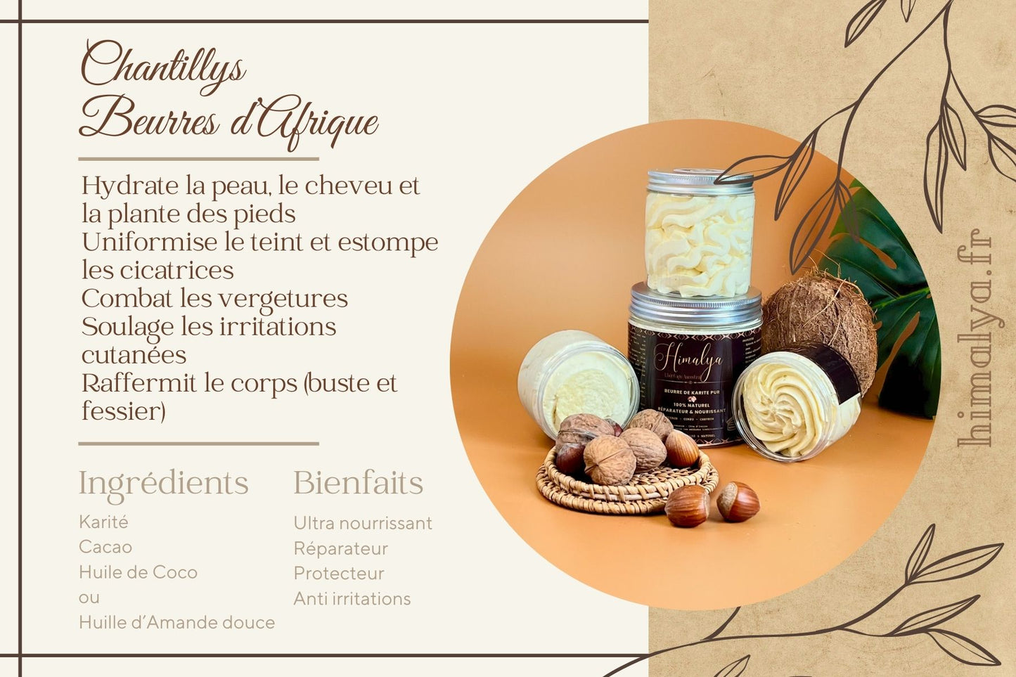 Shea butter whipped cream, cocoa, sweet almond oil